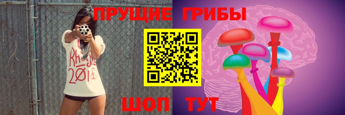 Галлюциногенные грибы MAGIC MUSHROOMS  Вход с VPN  Изобильный 